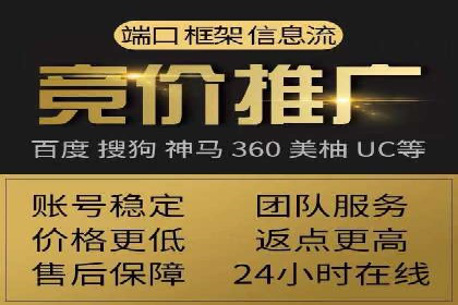 SEM代理助力品牌：案例解析与优化策略