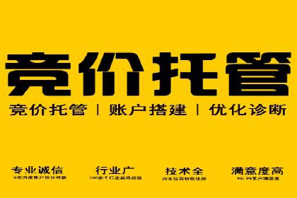 SEM竞价代运营：案例展示精准营销效果